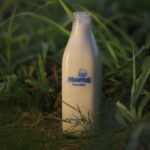 Fresh Milk